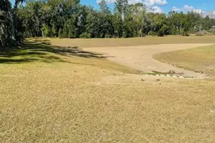 2037 Shaggy Fisher Dr, Apopka, FL 32712 - Photo 73