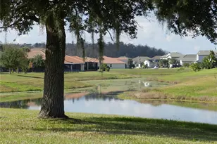 2641 Meadow View Ct, Kissimmee, FL 34746 - Photo 5