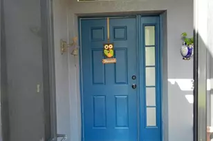 2641 Meadow View Ct, Kissimmee, FL 34746 - Photo 11