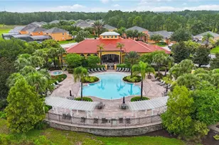 163 Tigerlily Ct, Davenport, FL 33837 - Photo 53