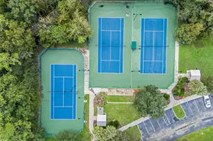 928 Spring Park Loop, Celebration, FL 34747 - Photo 95