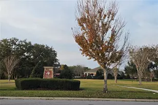 1519 Oak Reserve Dr, Kissimmee, FL 34744 - Photo 27