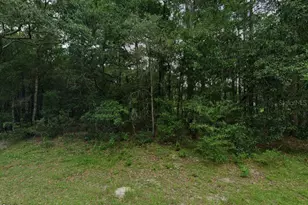 10256 N Adena Terrace, Citrus Springs, FL 34434 - Photo 1