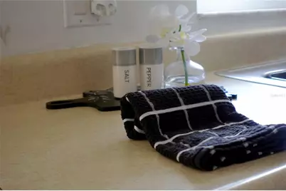 957 Florida Parkway, Kissimmee, FL 34743 - Photo 9