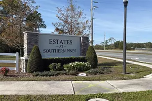 355 White Heron Wy, Saint Cloud, FL 34769 - Photo 15