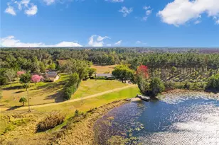 7008 Hunt Rd, Groveland, FL 34736 - Photo 67