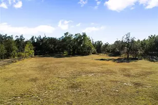 7008 Hunt Rd, Groveland, FL 34736 - Photo 63