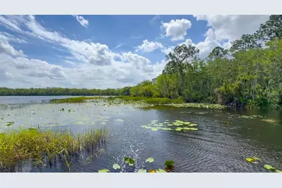 6829 Sundrop Street, Harmony, FL 34773 - Photo 65