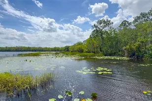 6829 Sundrop St, Harmony, FL 34773 - Photo 65