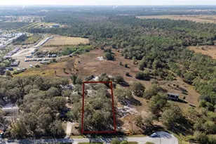 915 Keen Rd, Frostproof, FL 33843 - Photo 21