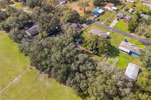 1447 Nocatee St, Intercession City, FL 33848 - Photo 47