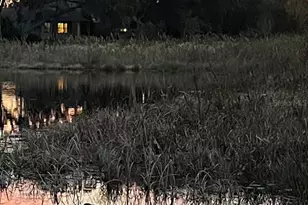 155 Magellan Ct, Davenport, FL 33837 - Photo 5