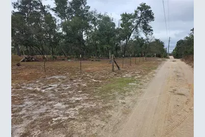 Cooter Pond Road, Deland, FL 32720 - Photo 3