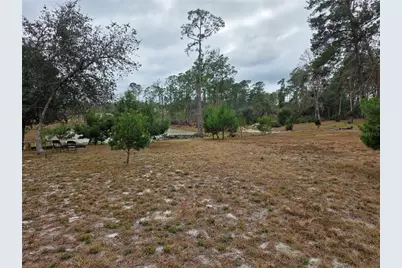 Cooter Pond Road, Deland, FL 32720 - Photo 7
