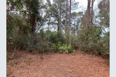 Nw 20th St, Ocala, FL 34482 - Photo 1