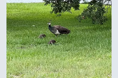 1100 Calanda Avenue, Orlando, FL 32807 - Photo 35