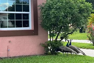 1100 Calanda Ave, Orlando, FL 32807 - Photo 5