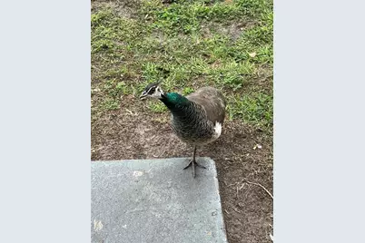 1100 Calanda Avenue, Orlando, FL 32807 - Photo 37