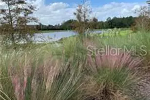 14279 Swanley St, Orlando, FL 32832 - Photo 3