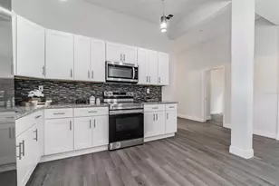 703 E Lake Ave, Tampa, FL 33603 - Photo 9