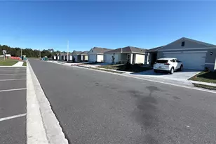 3340 Pine Lily Ave, Kissimmee, FL 34759 - Photo 3