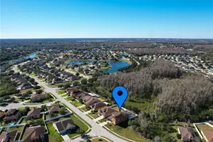2717 Eagle Cliff Dr, Kissimmee, FL 34746 - Photo 51