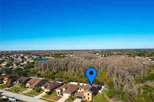 2717 Eagle Cliff Dr, Kissimmee, FL 34746 - Photo 3