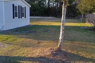 140 Coolwater, Satsuma, FL 32189 - Photo 3