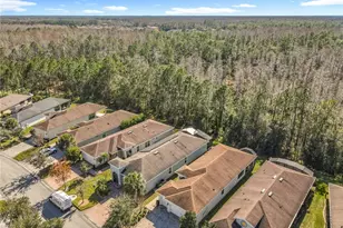 572 Presido Park Pl, Kissimmee, FL 34759 - Photo 47