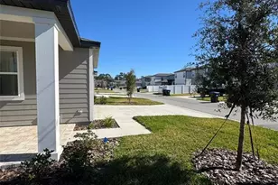 11425 Pixie Mandarin Ct, Winter Garden, FL 34787 - Photo 21