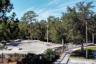 6246 English Hollow Rd, Tampa, FL 33647 - Photo 43