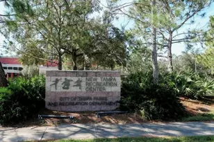 6246 English Hollow Rd, Tampa, FL 33647 - Photo 41