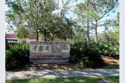 6246 English Hollow Road, Tampa, FL 33647 - Photo 27