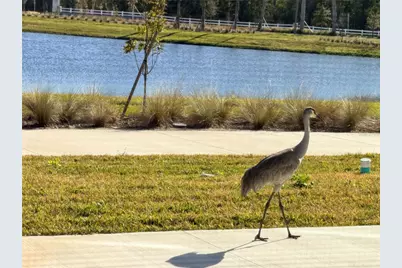 9948 Red Canoe Alley, Orlando, FL 32832 - Photo 53