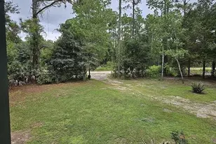 5041 Olive Ave, Bunnell, FL 32110 - Photo 7