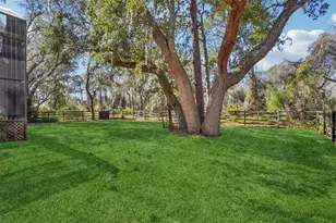 29207 Old Mill W, Tavares, FL 32778 - Photo 77
