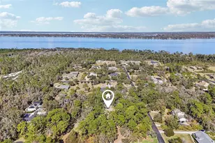29207 Old Mill W, Tavares, FL 32778 - Photo 81