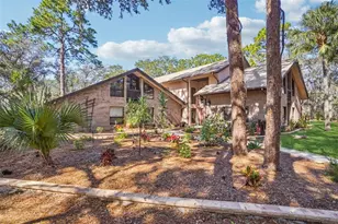 29207 Old Mill W, Tavares, FL 32778 - Photo 3