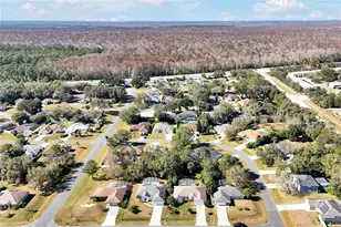 2902 Evans Way, Kissimmee, FL 34758 - Photo 49