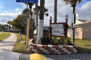 40 E Country Cove Way, Kissimmee, FL 34743 - Photo 39