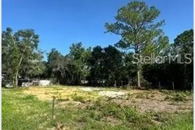 Lake Marion Creek Road, Haines City, FL 33844 - Photo 1