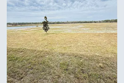 4505 Ochos Rios Place, Kissimmee, FL 34758 - Photo 43