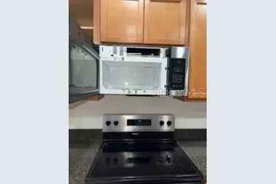 2498 Addison Creek Drive, Kissimmee, FL 34758 - Photo 9