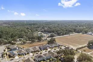 1526 White Hawk Wy, Groveland, FL 34736 - Photo 37