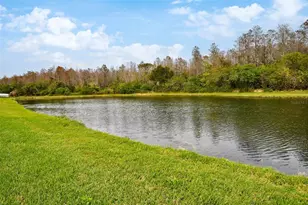 4215 Settlers Ct, Saint Cloud, FL 34772 - Photo 49