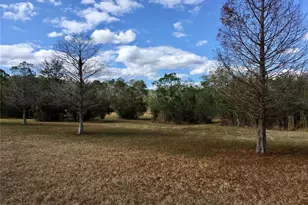 1297 Pfundstein Rd, Babson Park, FL 33827 - Photo 37