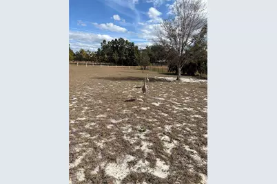 1297 Pfundstein Road, Babson Park, FL 33827 - Photo 49