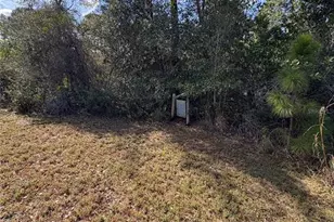 1297 Pfundstein Rd, Babson Park, FL 33827 - Photo 61