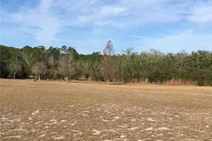 1297 Pfundstein Rd, Babson Park, FL 33827 - Photo 65