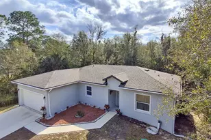 229 Starling Ct, Kissimmee, FL 34759 - Photo 1